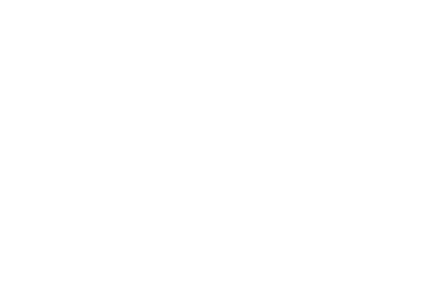 RAY-Logo_422x292